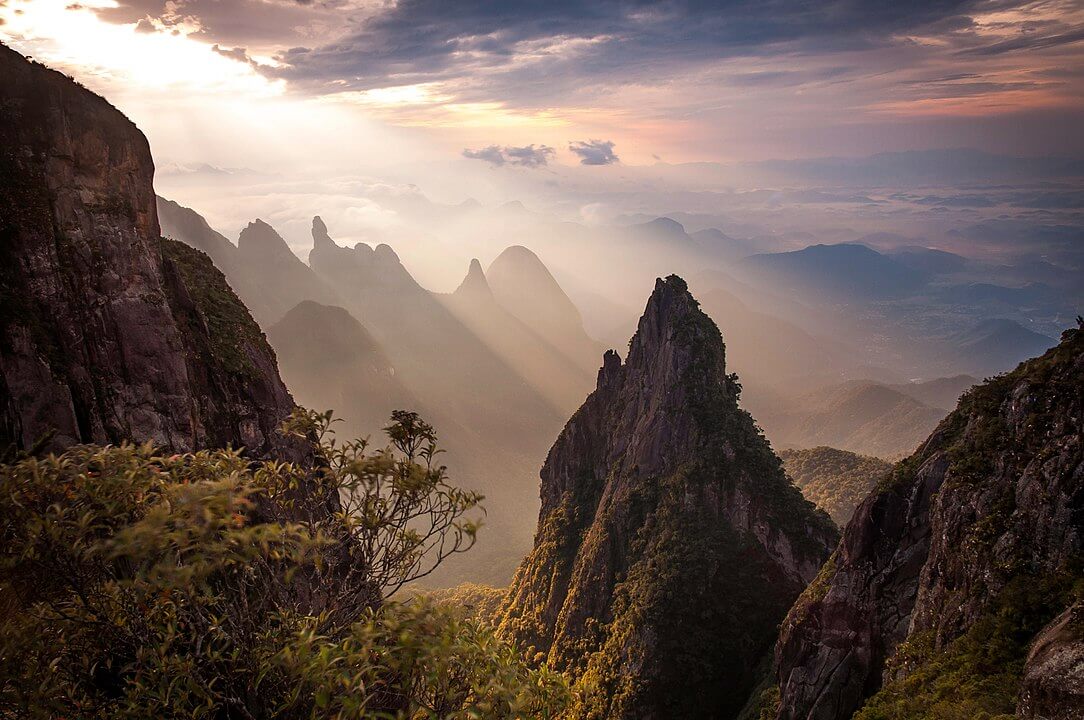 Serra do Mar - Brazil's Treasure